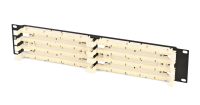 110C-19-100P-1U