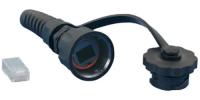 PLUG-IE-8P8C-P-C5-SH